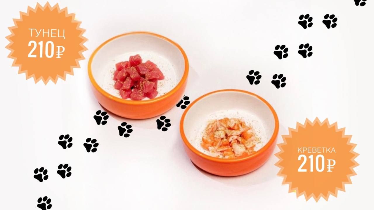 Новинка в меню для ваших котиков 🧡